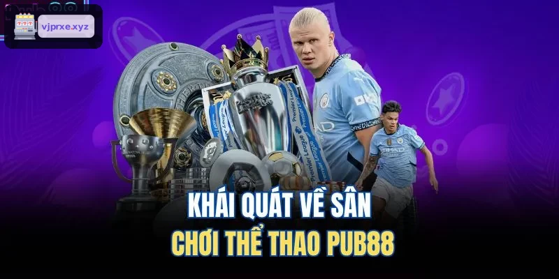 Khái quát về sân chơi thể thao VIC88